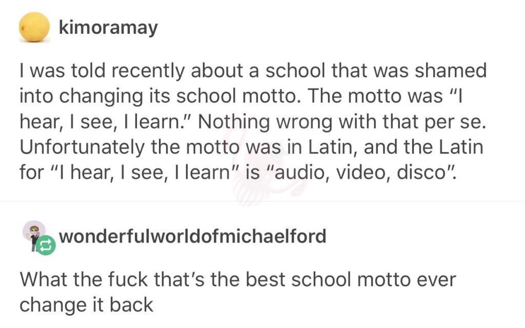 TIL: audio, video, disco