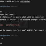 TIL: git update-index –skip-worktree <filename>