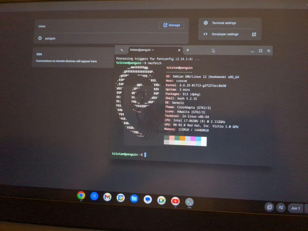 Added Linux to the ChromeOS setup